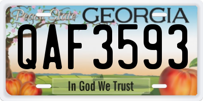 GA license plate QAF3593