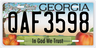 GA license plate QAF3598