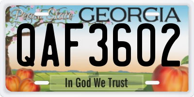 GA license plate QAF3602