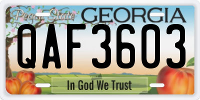 GA license plate QAF3603