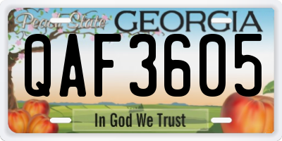 GA license plate QAF3605