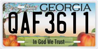 GA license plate QAF3611