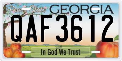 GA license plate QAF3612
