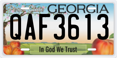 GA license plate QAF3613