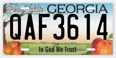 GA license plate QAF3614