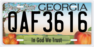 GA license plate QAF3616