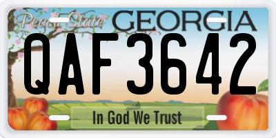 GA license plate QAF3642