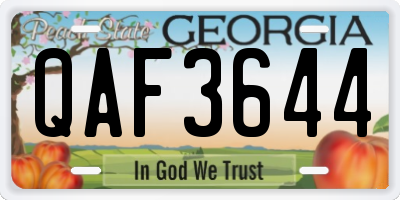 GA license plate QAF3644