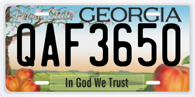 GA license plate QAF3650
