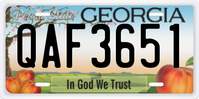 GA license plate QAF3651