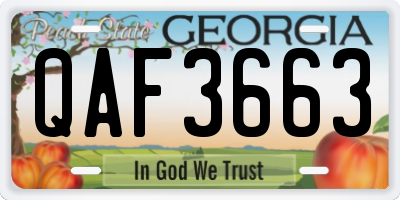 GA license plate QAF3663