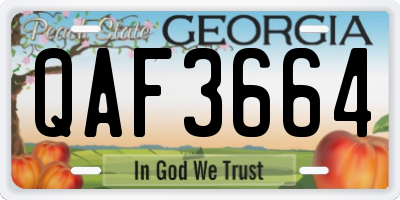 GA license plate QAF3664