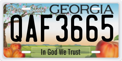 GA license plate QAF3665