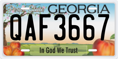 GA license plate QAF3667