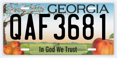 GA license plate QAF3681