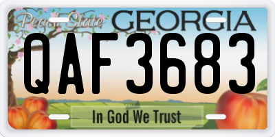 GA license plate QAF3683