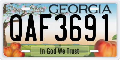 GA license plate QAF3691