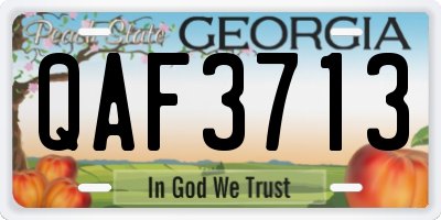 GA license plate QAF3713