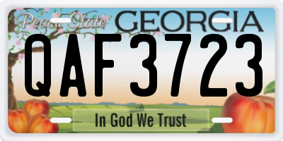 GA license plate QAF3723