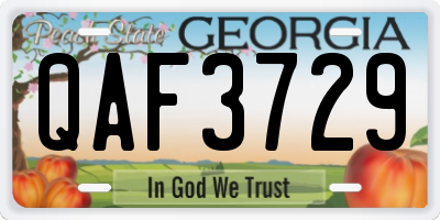 GA license plate QAF3729