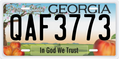 GA license plate QAF3773