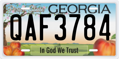 GA license plate QAF3784