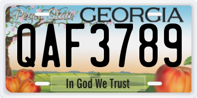 GA license plate QAF3789