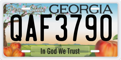 GA license plate QAF3790