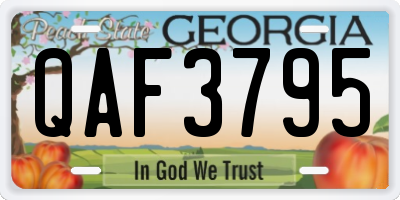 GA license plate QAF3795