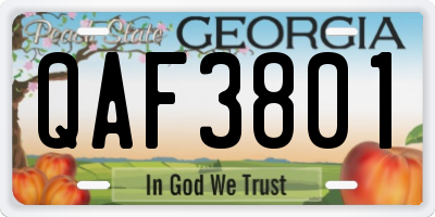 GA license plate QAF3801