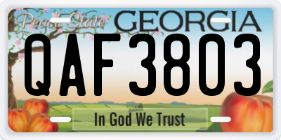 GA license plate QAF3803
