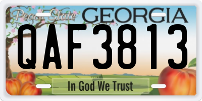 GA license plate QAF3813