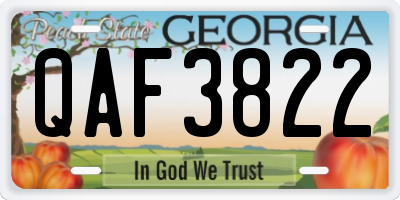 GA license plate QAF3822