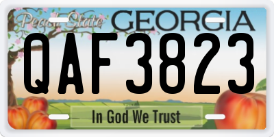 GA license plate QAF3823