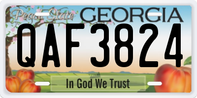 GA license plate QAF3824