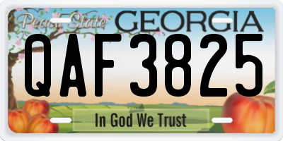 GA license plate QAF3825