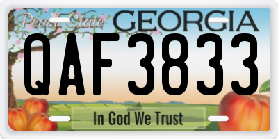 GA license plate QAF3833