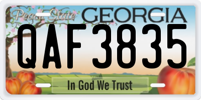 GA license plate QAF3835