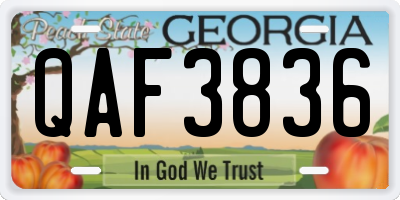 GA license plate QAF3836