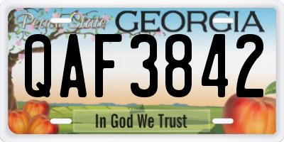 GA license plate QAF3842