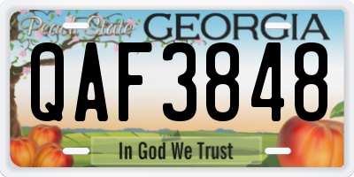 GA license plate QAF3848