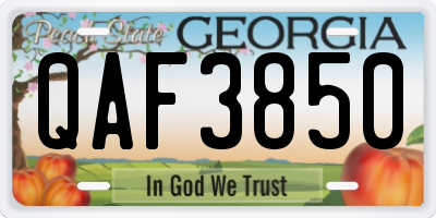 GA license plate QAF3850