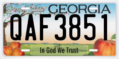 GA license plate QAF3851