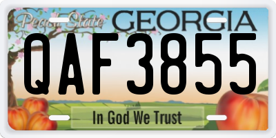 GA license plate QAF3855