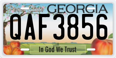 GA license plate QAF3856