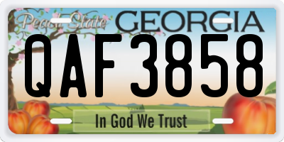 GA license plate QAF3858