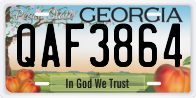 GA license plate QAF3864