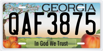 GA license plate QAF3875