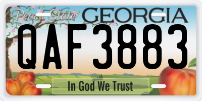 GA license plate QAF3883