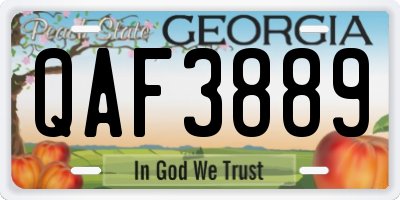 GA license plate QAF3889